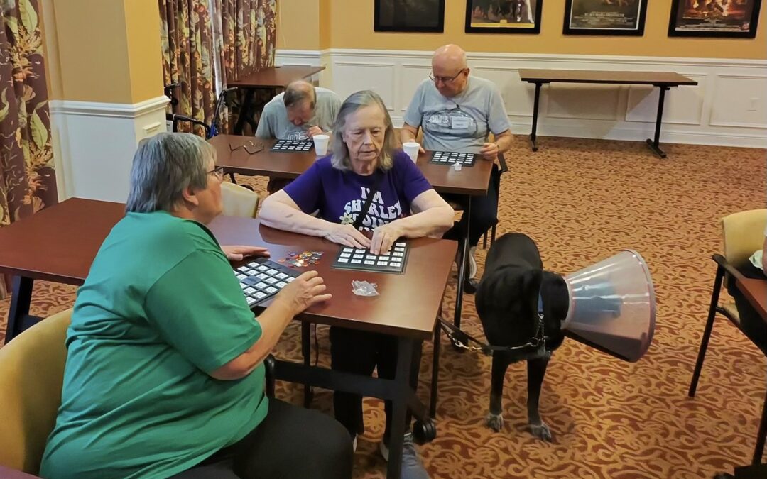 Game Day: Where Everyone Can Play!